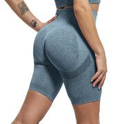 High Waisted Contour Shorts