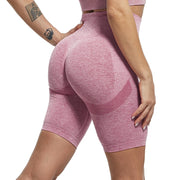 High Waisted Contour Shorts